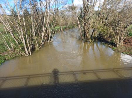 Razlitje Molje pri Zarečici2